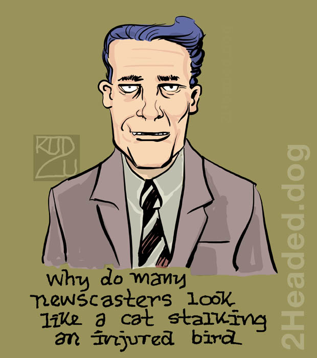 Why do Newscasters